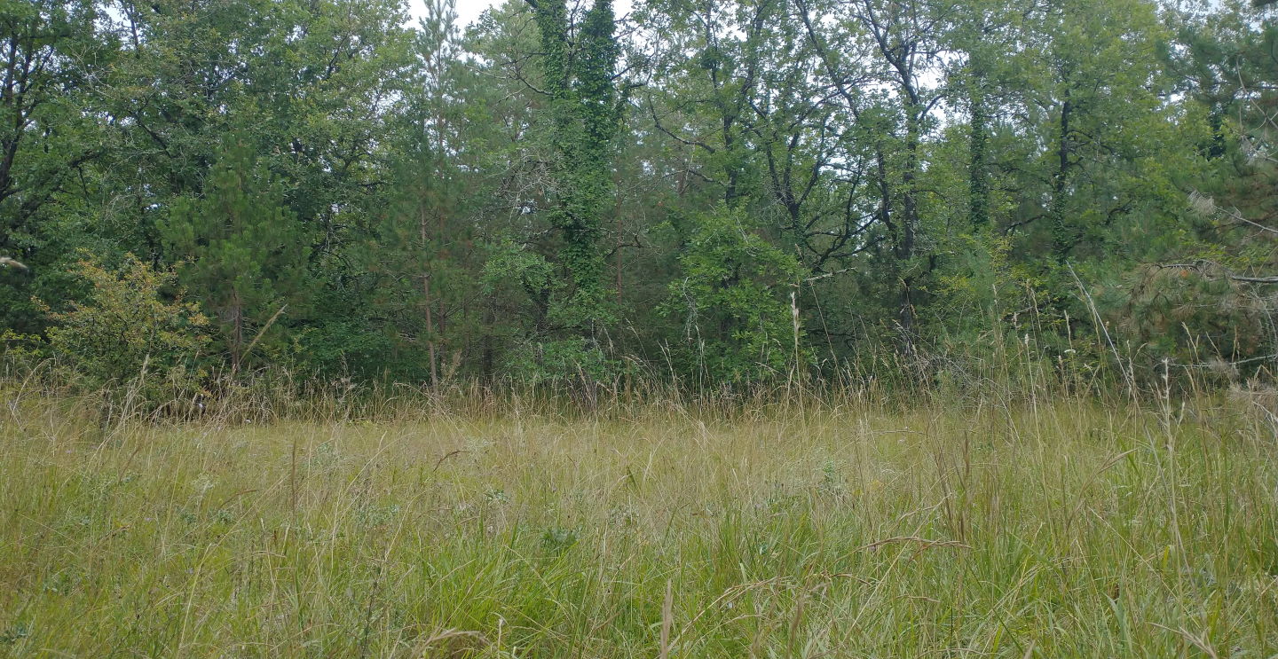 Unsplashed background img 3