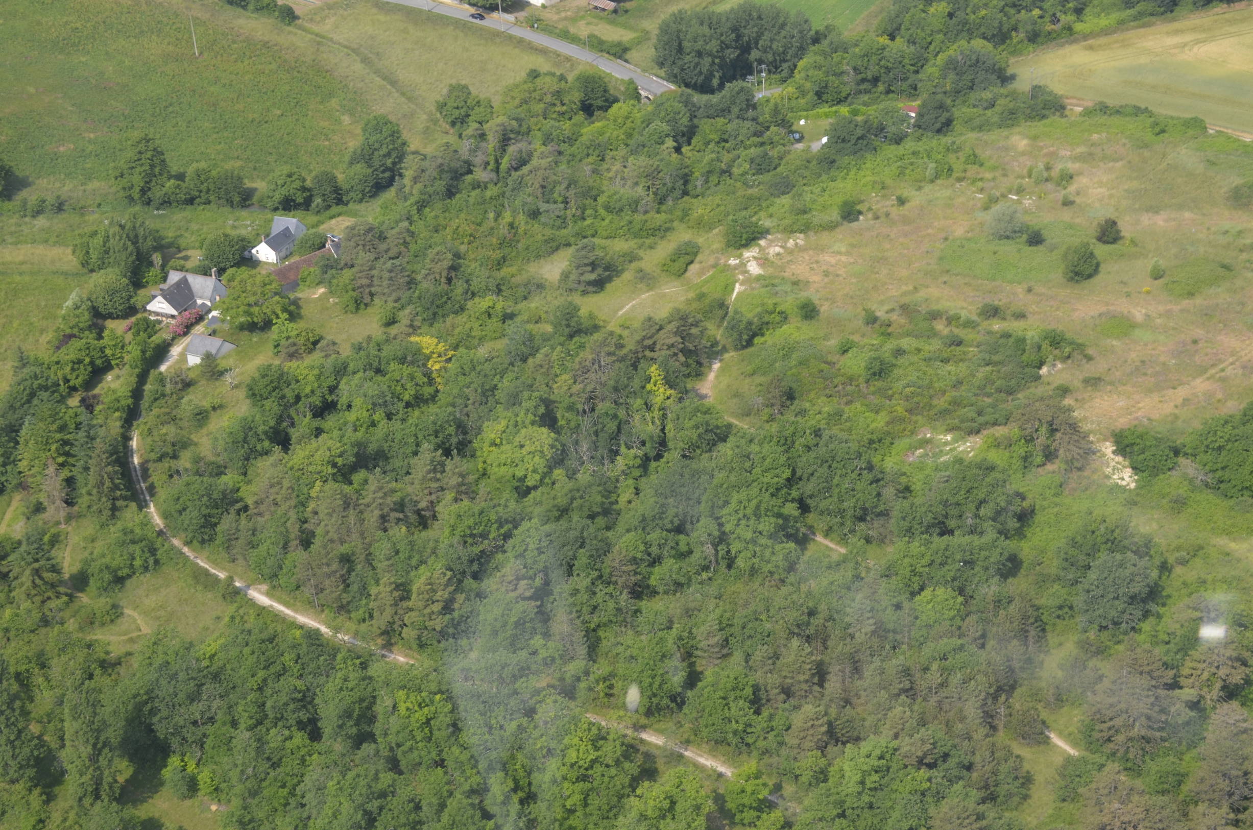 Champs Perroux (est) le 9 juin 2025.