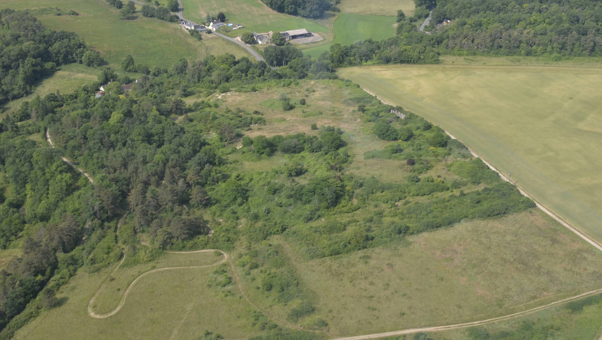 Champs Perroux (nord) le 9 juin 2025.