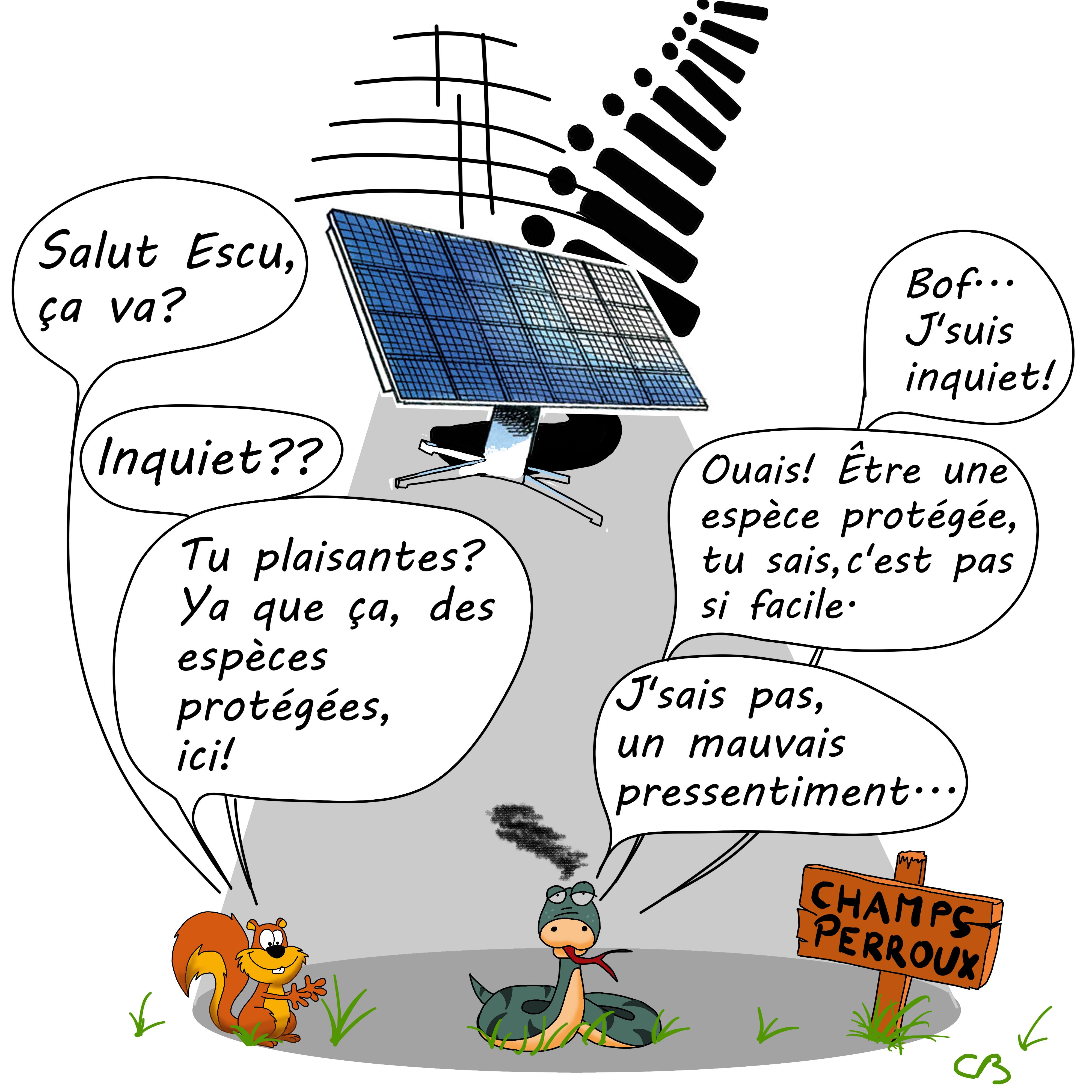 biodiversité vs photovoltaïsme