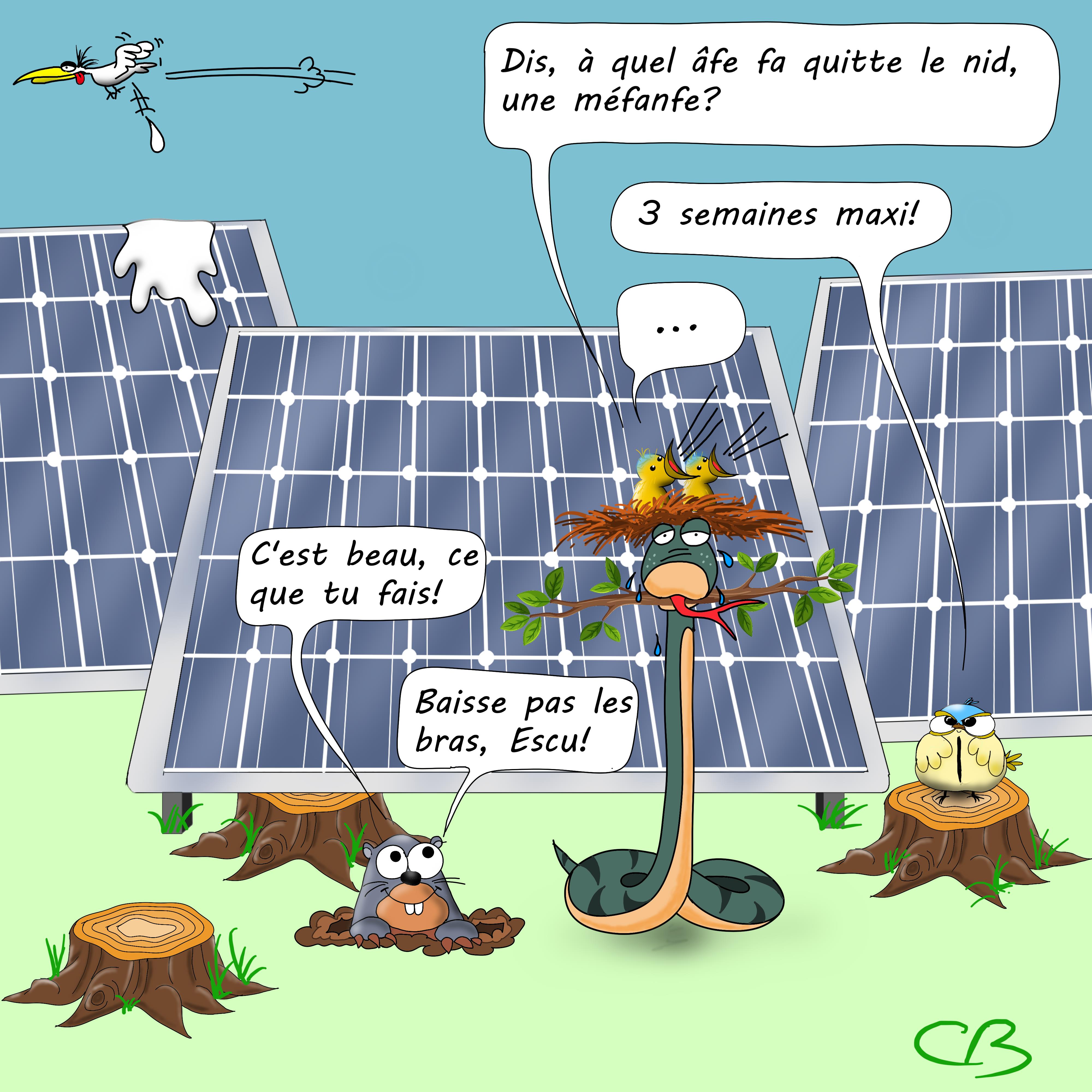 biodiversité vs photovoltaïsme
