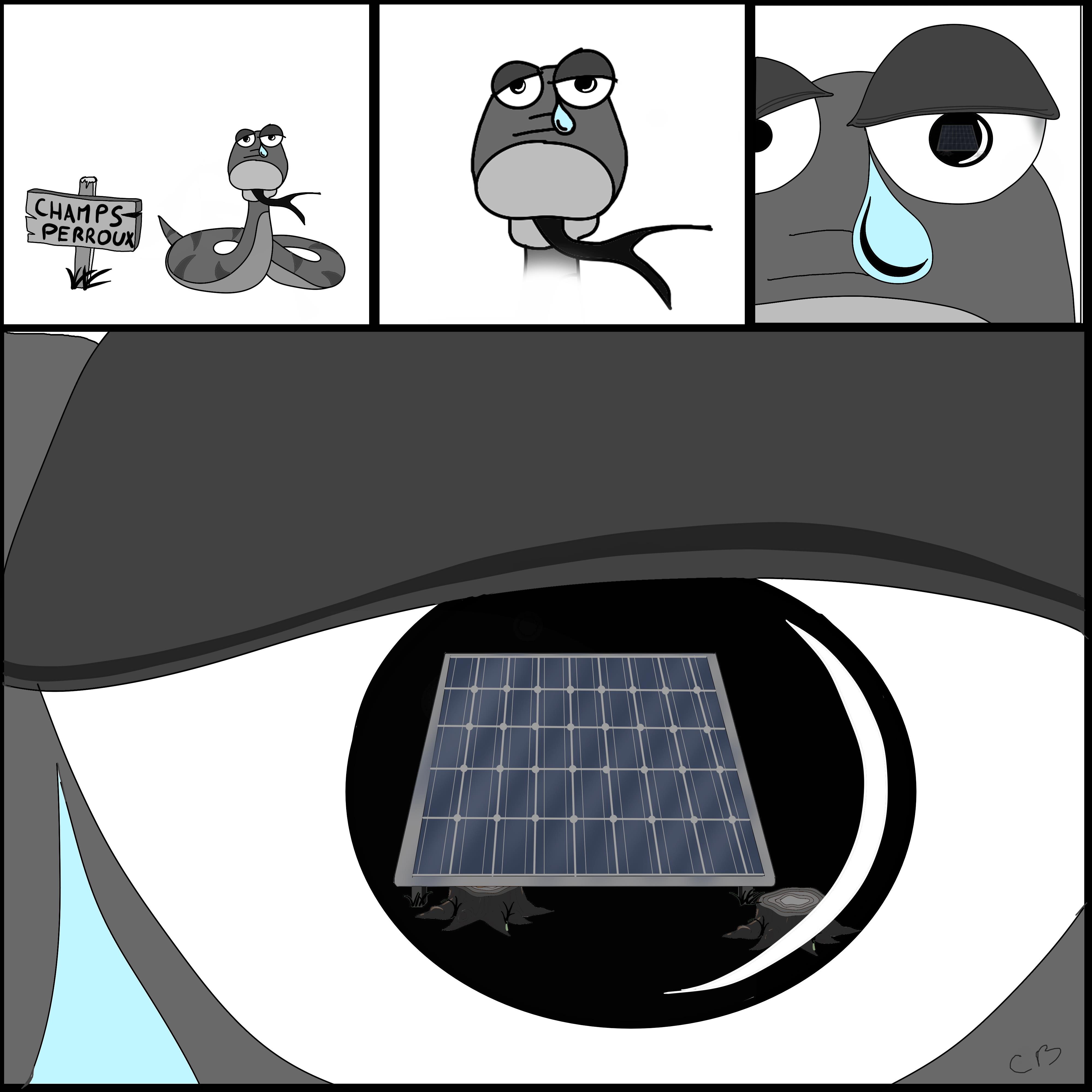 biodiversité vs photovoltaïsme