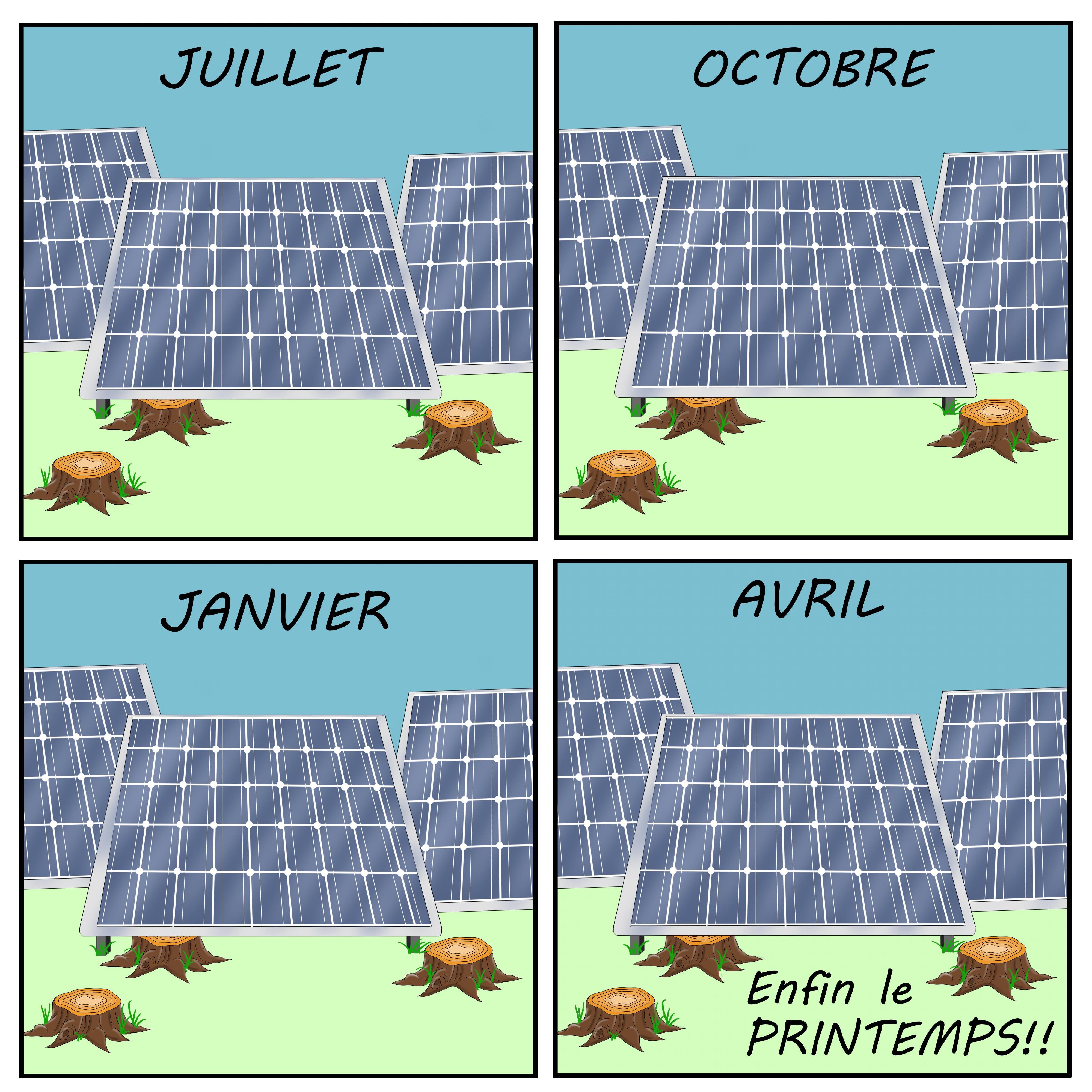 biodiversité vs photovoltaïsme