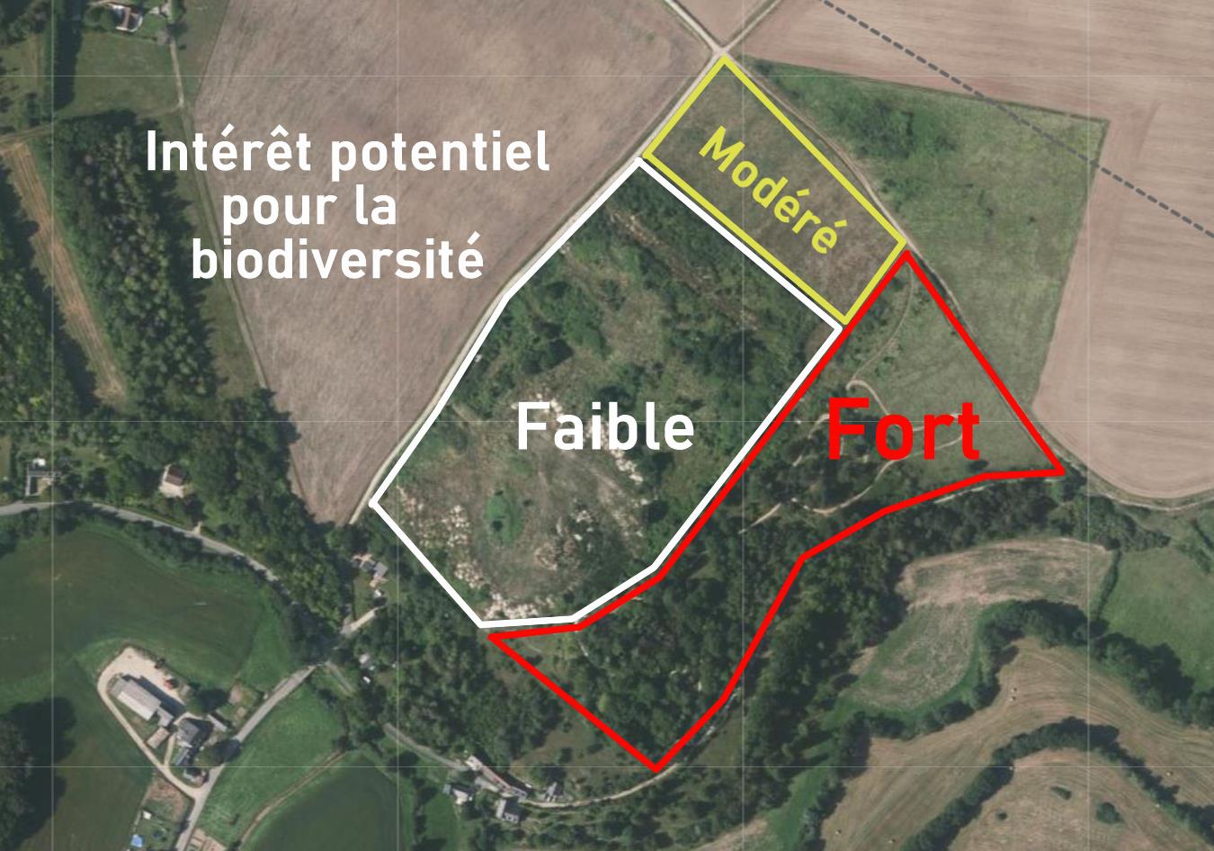Intérêt pour la biodiversité du site de Champs-Perroux.